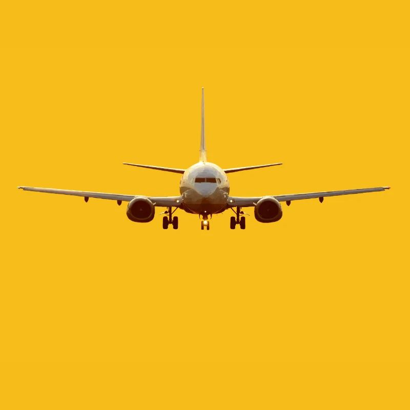 737