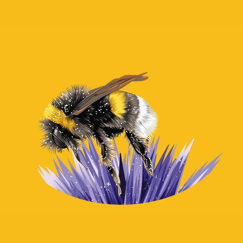 bumblebee
