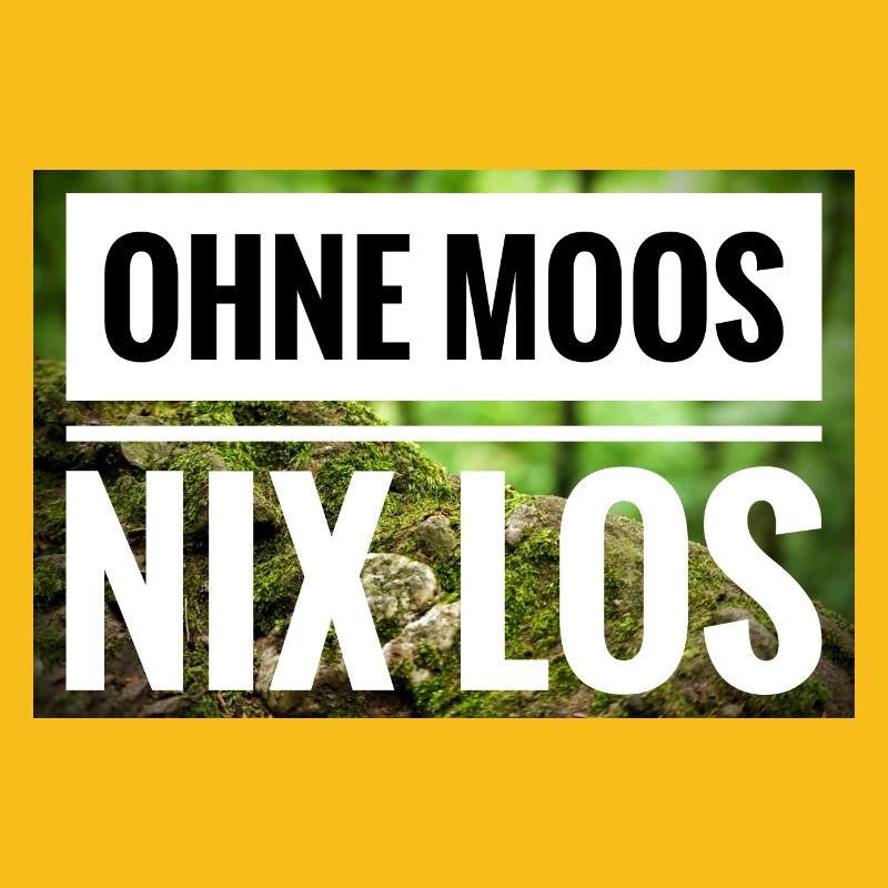 Ohne Moos Nix Los