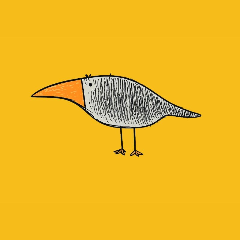 Bird with orange beak