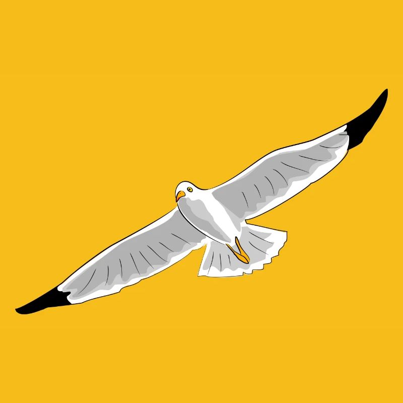 fliegende moewe vogel strand