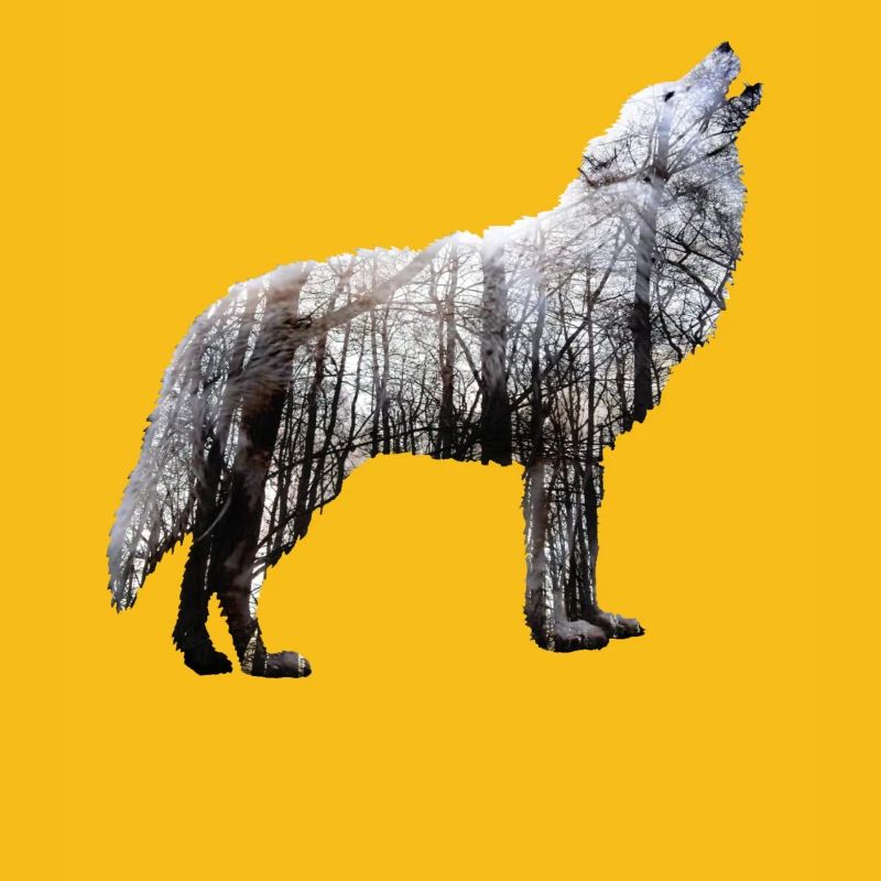 Wolf Forest Double Exposure Nature