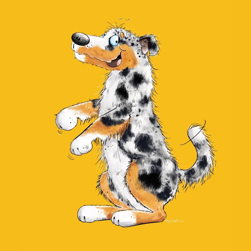 Funny Australian Shepherd
