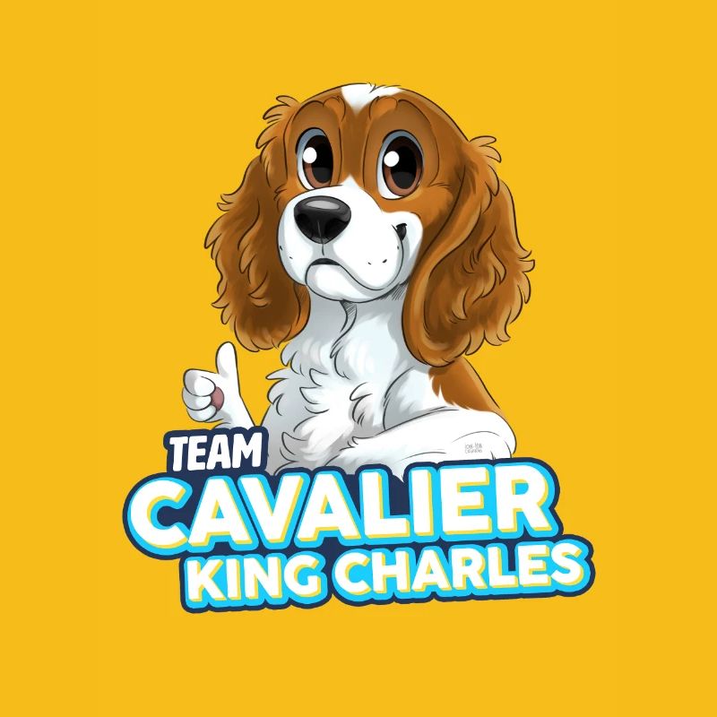 TEAM Cavalier King Charles - White & Tan