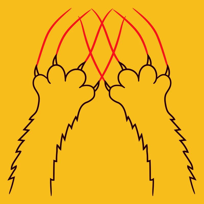 Chats, Griffes, Pattes, Pattes, Griffes, Griffures, Rayures