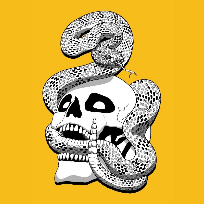 Serpent à sonnette et crâne