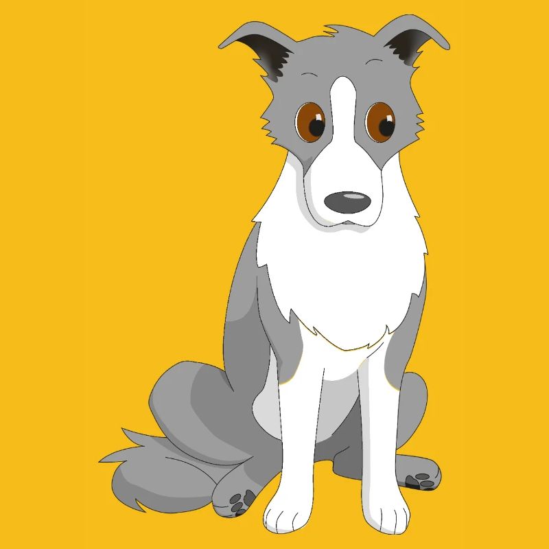 Border Collie Œil latéral