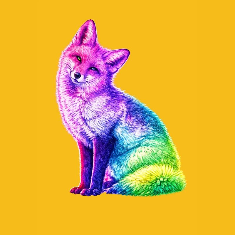 Regenbogenfuchs Farbkunst