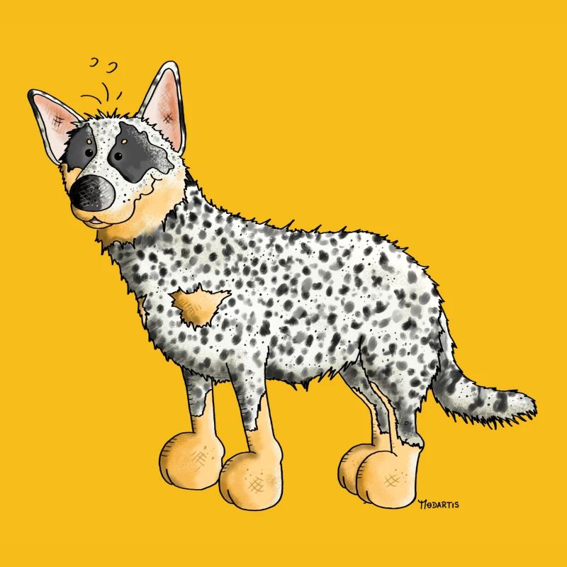 Witziger Australian Cattle Dog - Hund