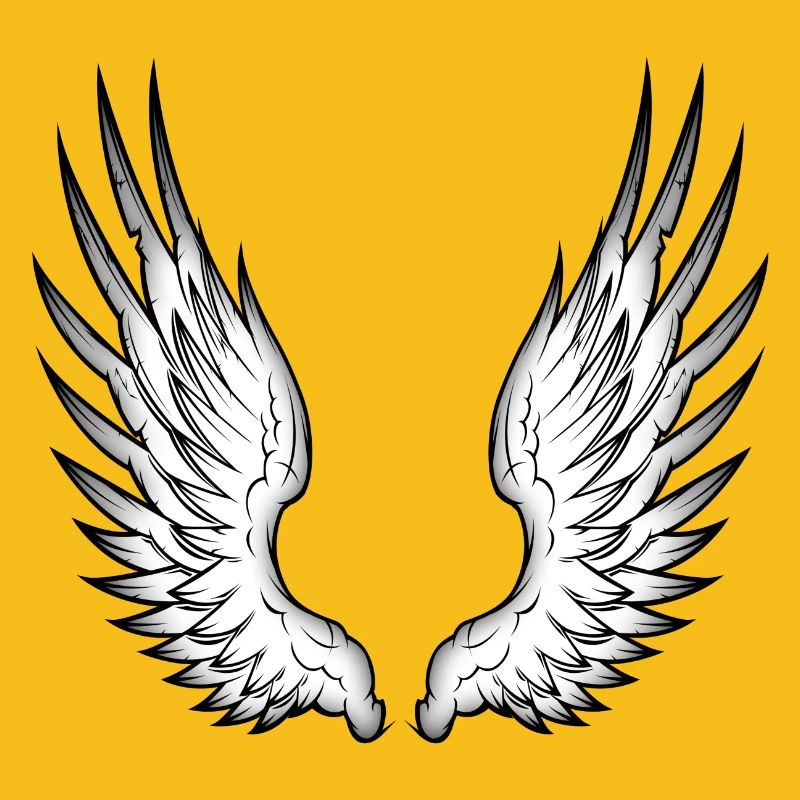 ailes d'ange