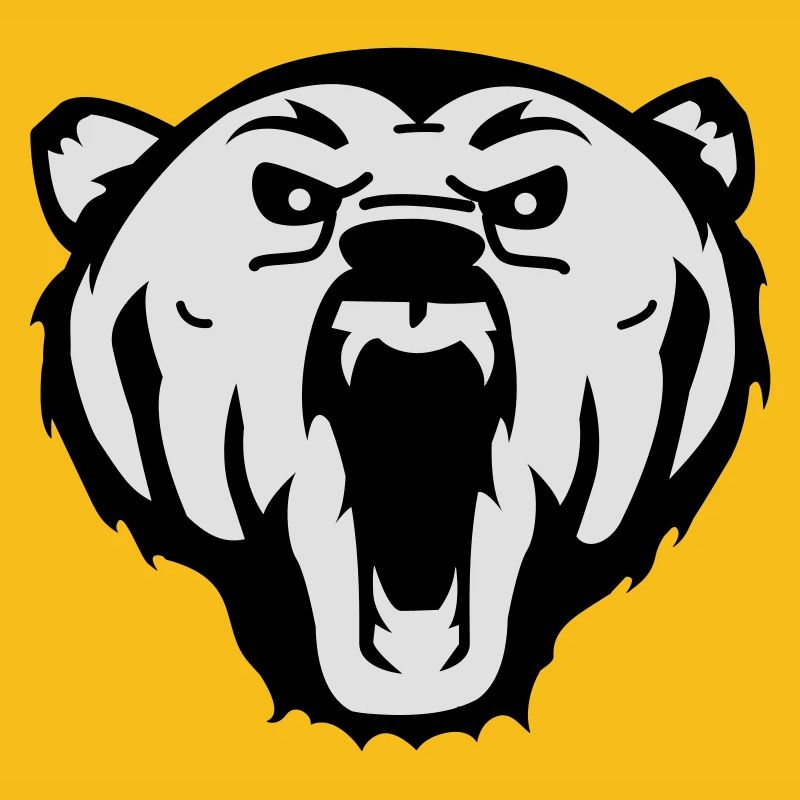 bear Bär grizzly