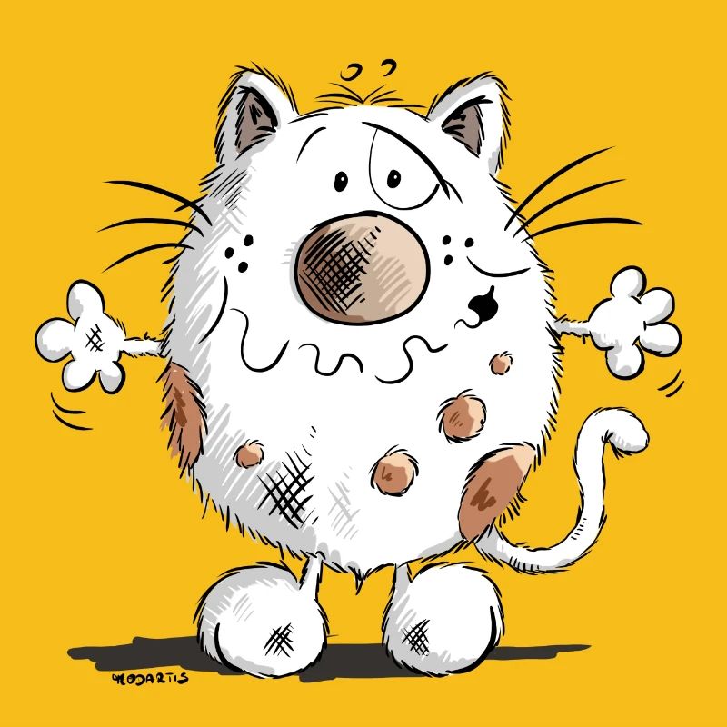 Cute Cat - Kitten - Cats - Fun