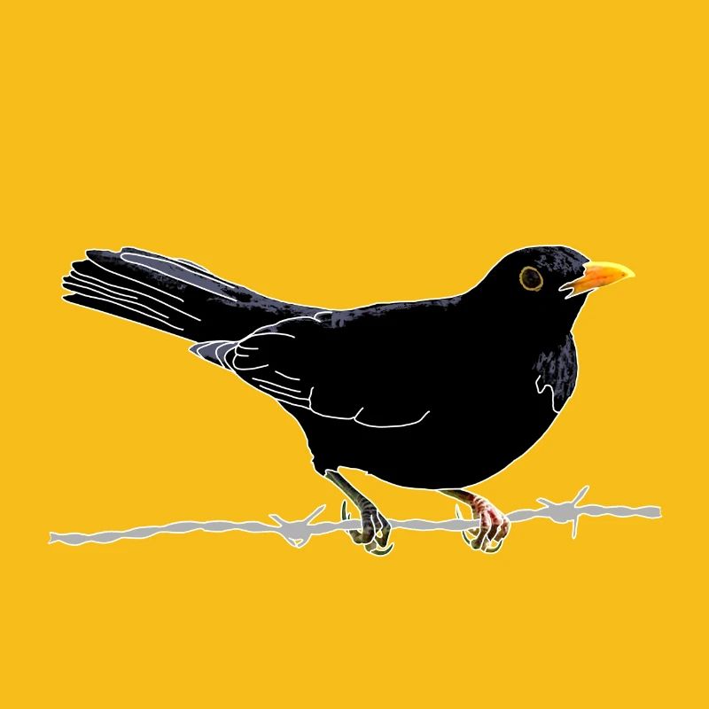 Blackbird on barbed wire