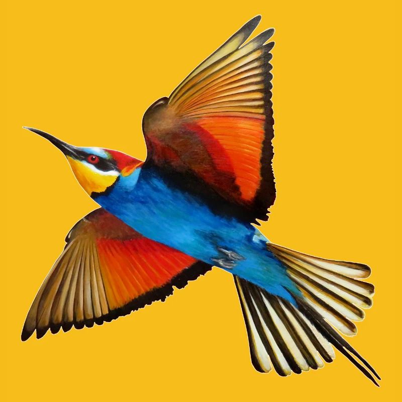 Bee-eater Bird