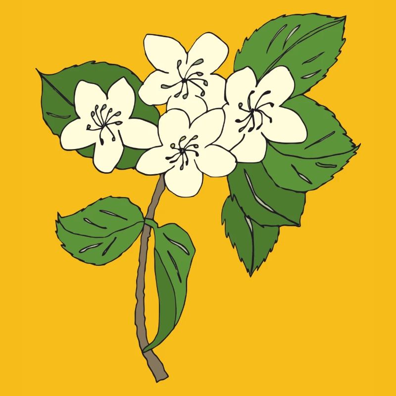 pear tree blossoms