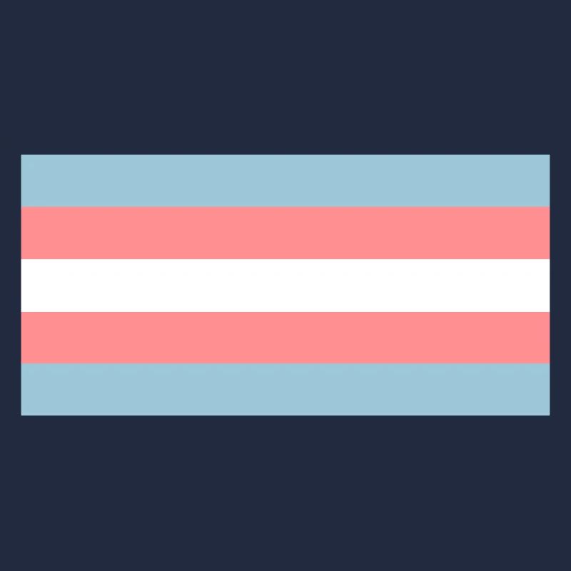 Trans Flag