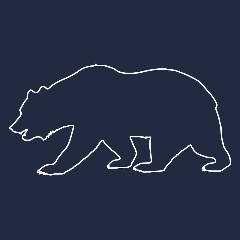 Bear Drawing
