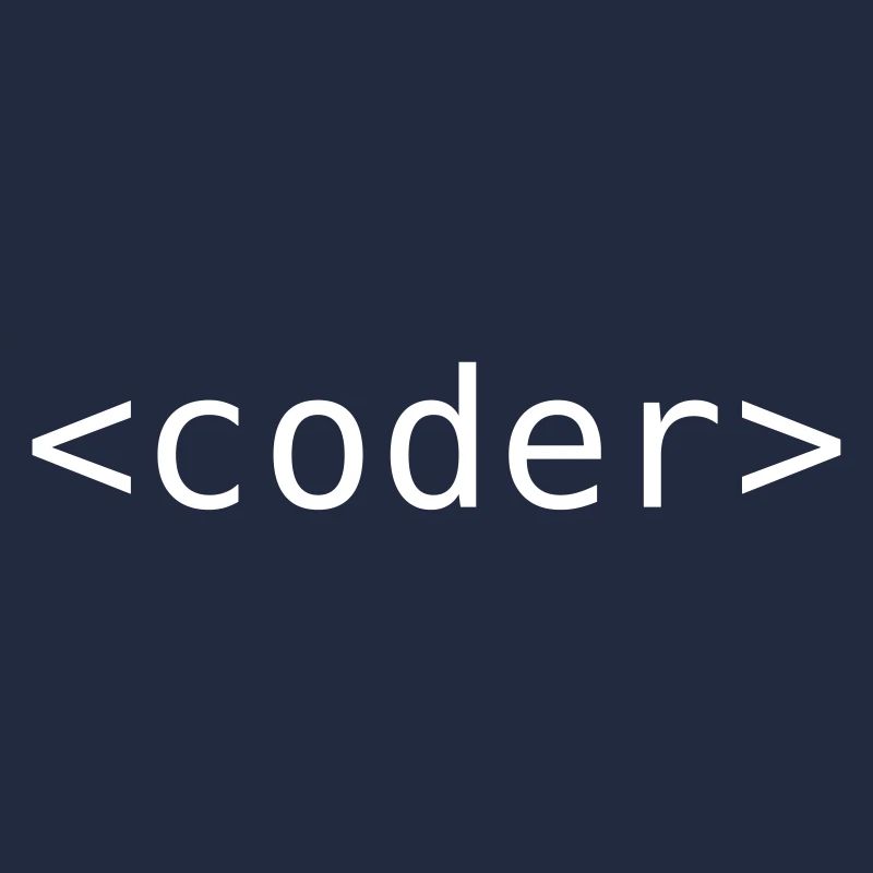 Développeur / Programmeur