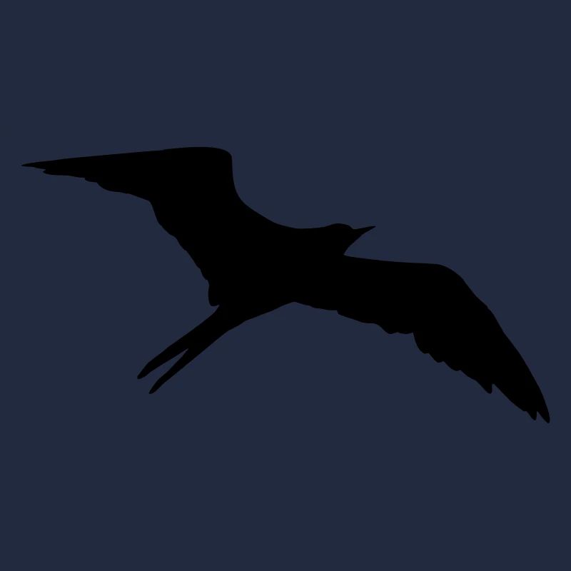 Bird, swallow