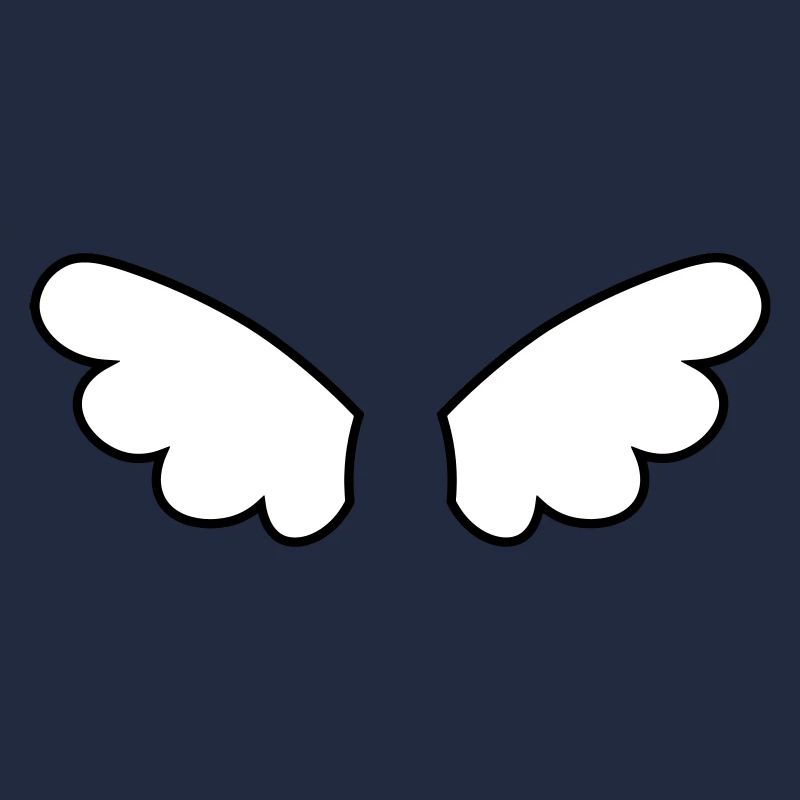 Ailes d'ange - ailes d'anges