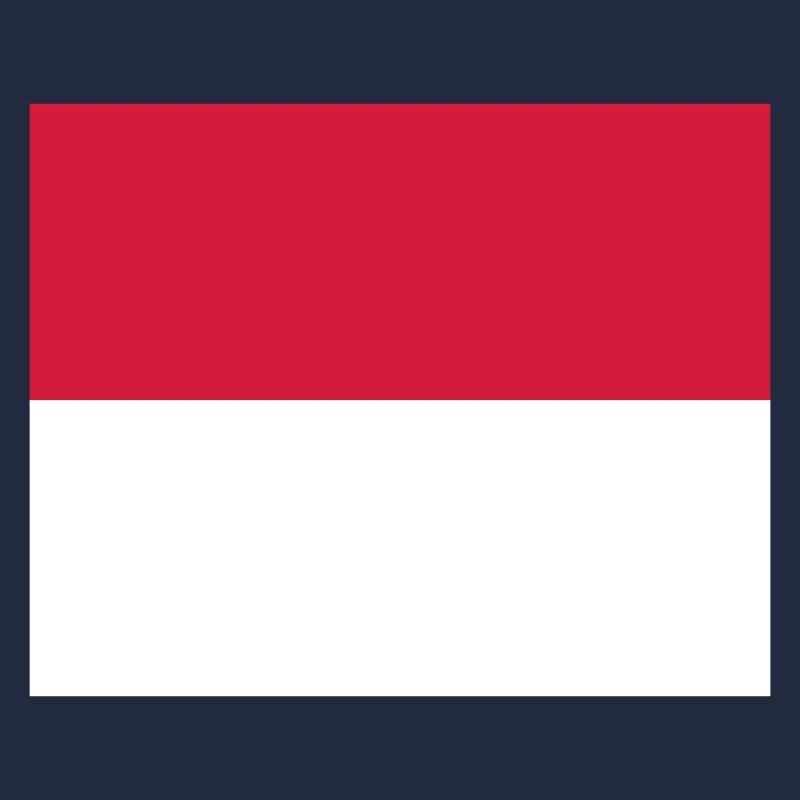 Monaco flag / Drapeau Monaco