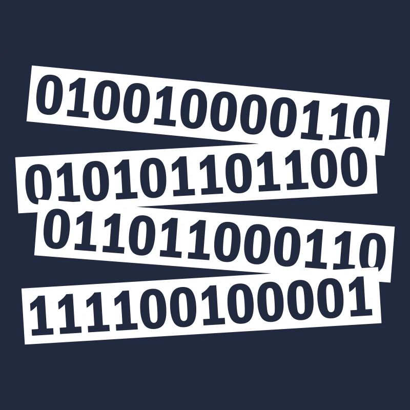 Langage de programme de code binaire