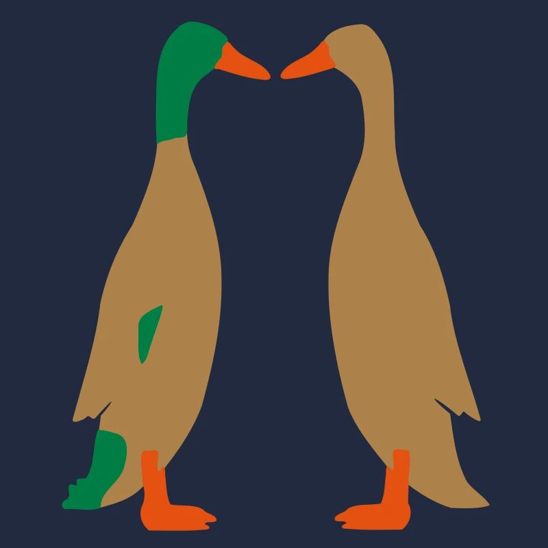 Canard