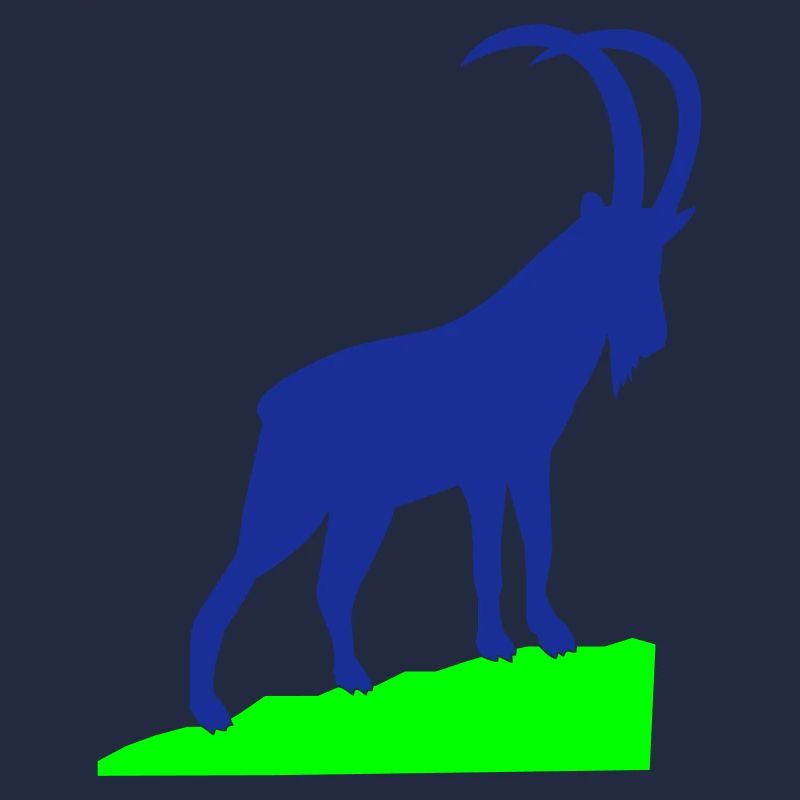 Capricorne