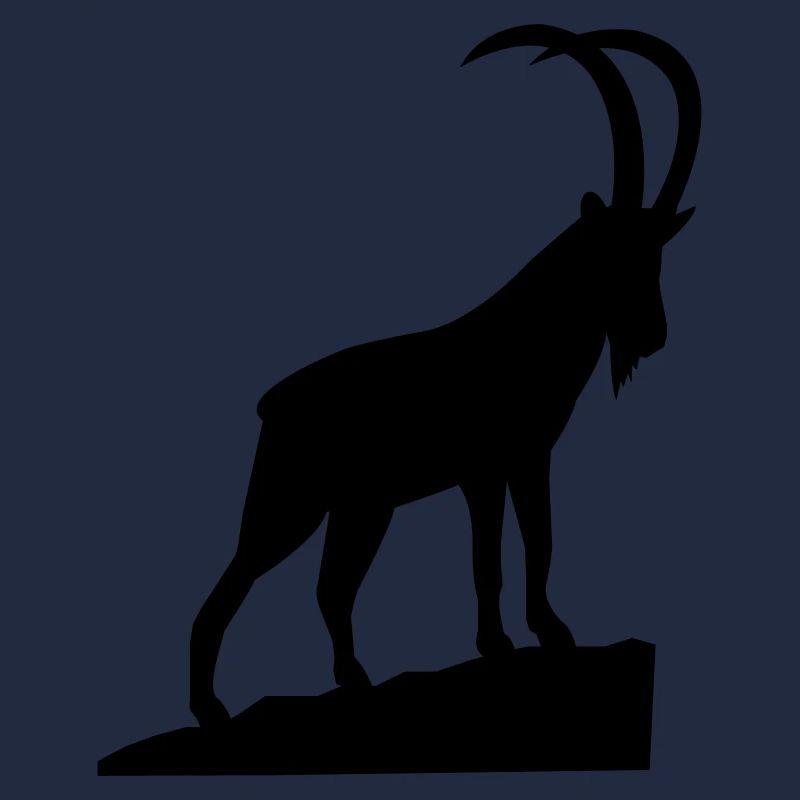 Capricorne