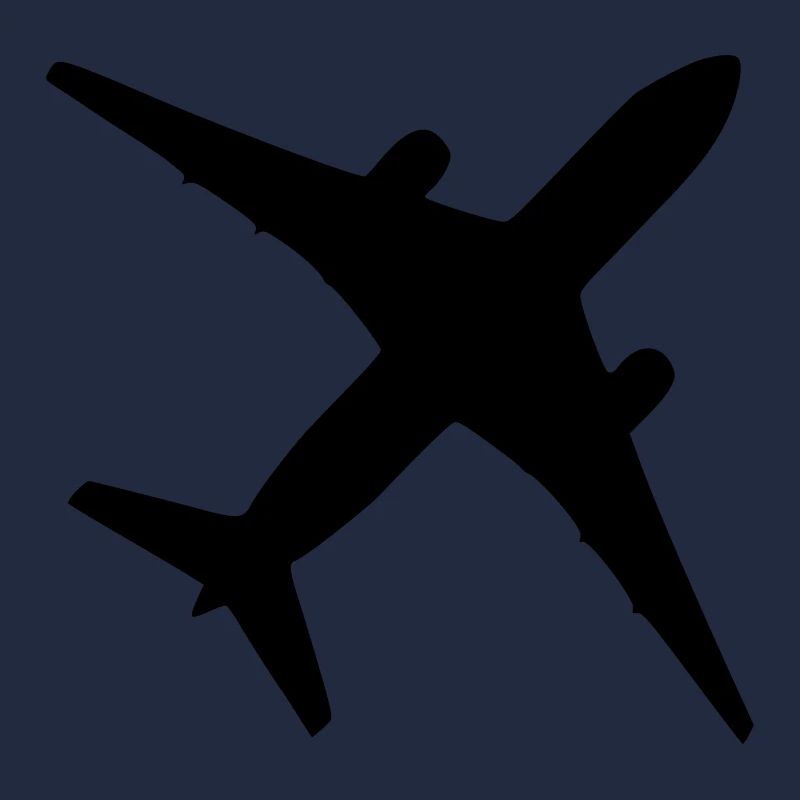 Flugzeug