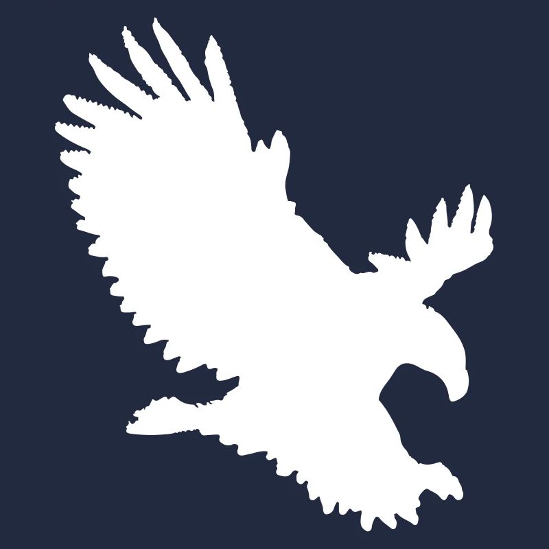 Aigle s’approchant