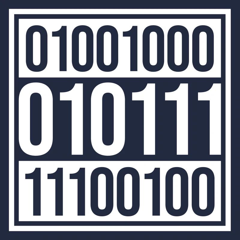 Binary Code Program Language