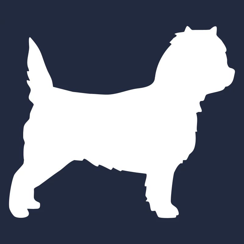 Cairn Terrier