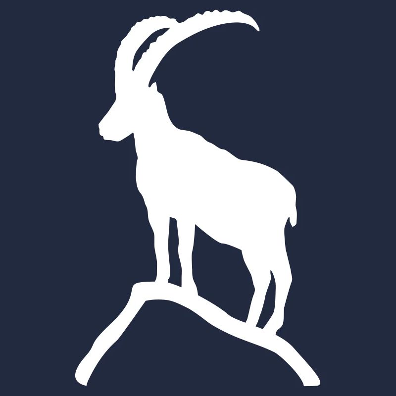 Ibex on Mountain