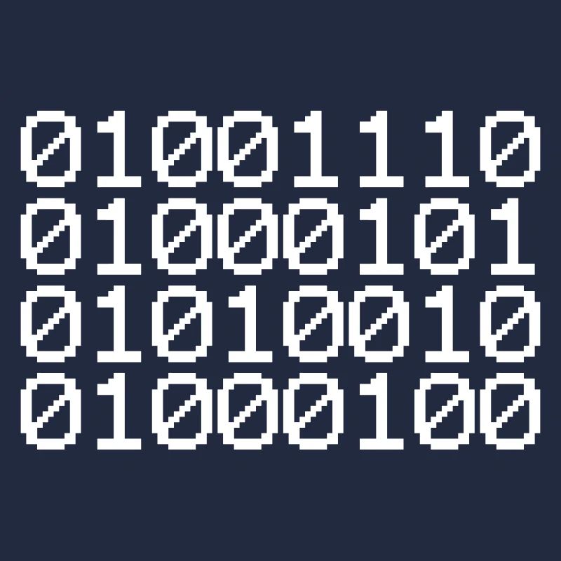 BINARY NERD