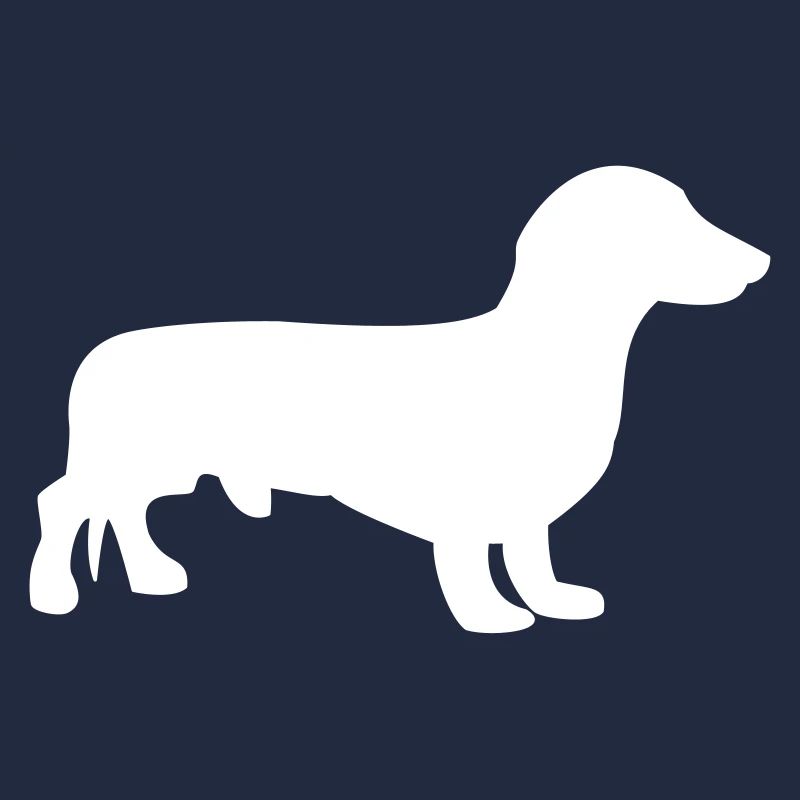 Dachshund