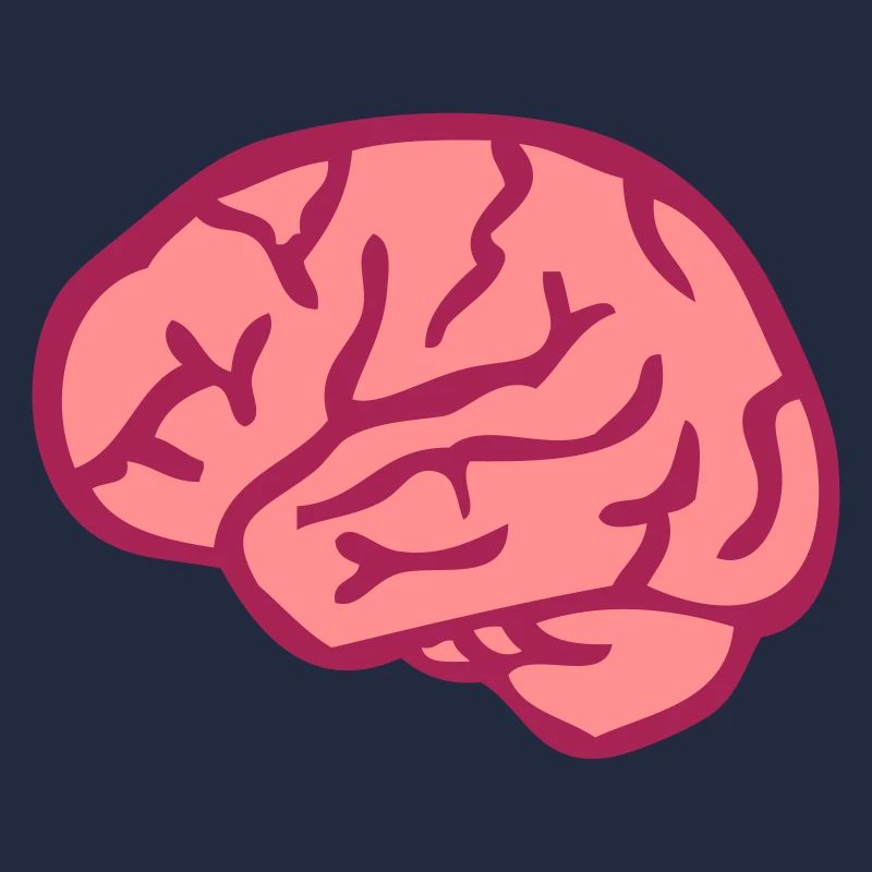 cerveau