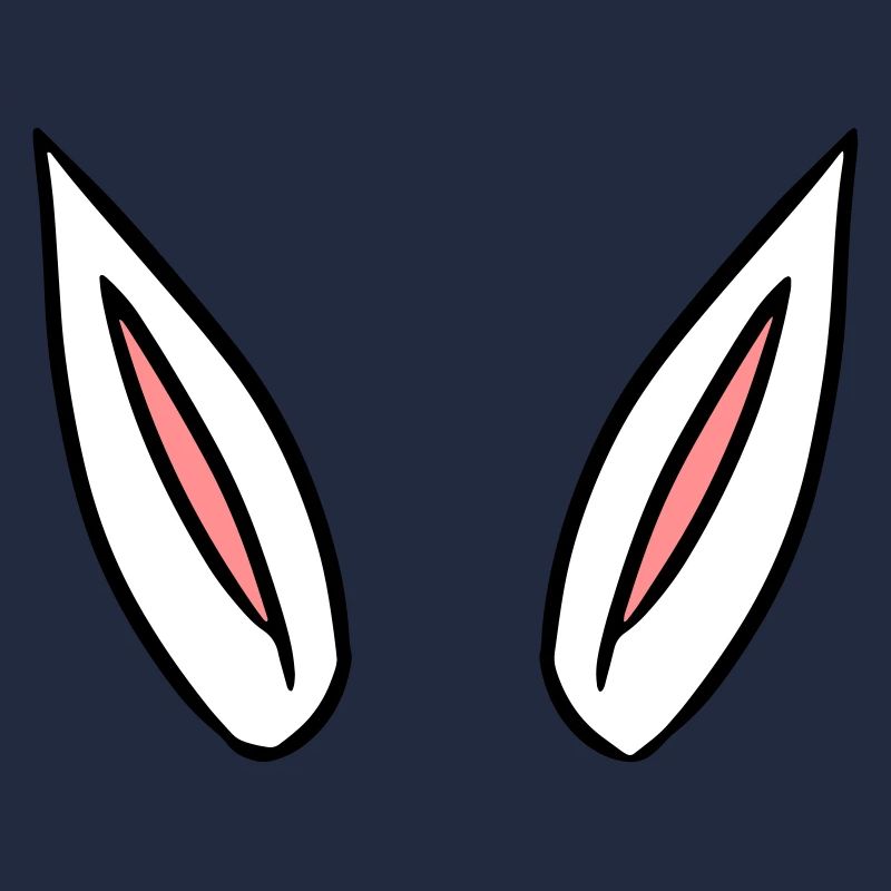 ears gift idea rabbit ears