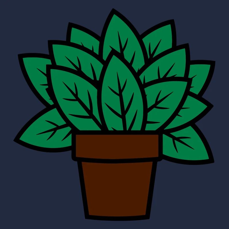 Plant gift idea plant gift idea