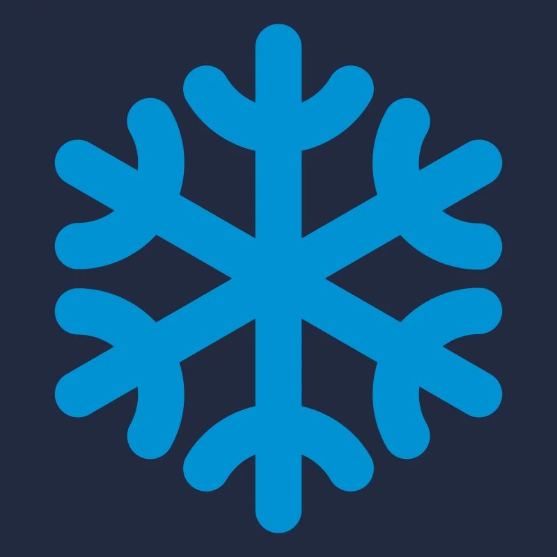 snowflake / fiocco di neve / flocon de neig / copo