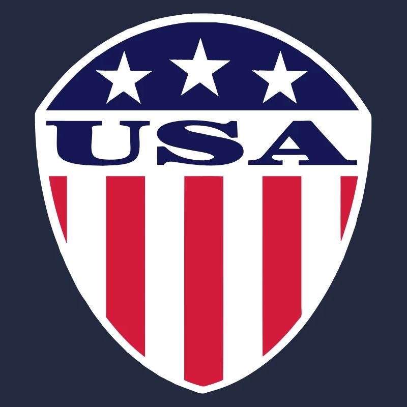 USA Flag Logo