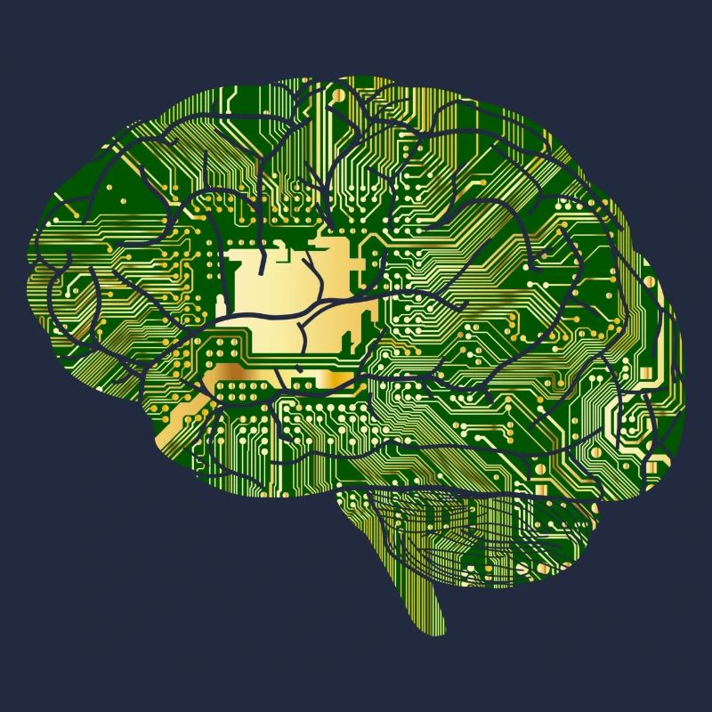 Brain circuitry, electronics