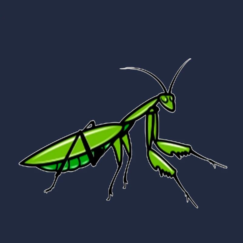 Insectes