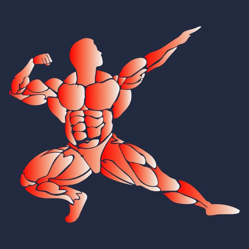 Musculation