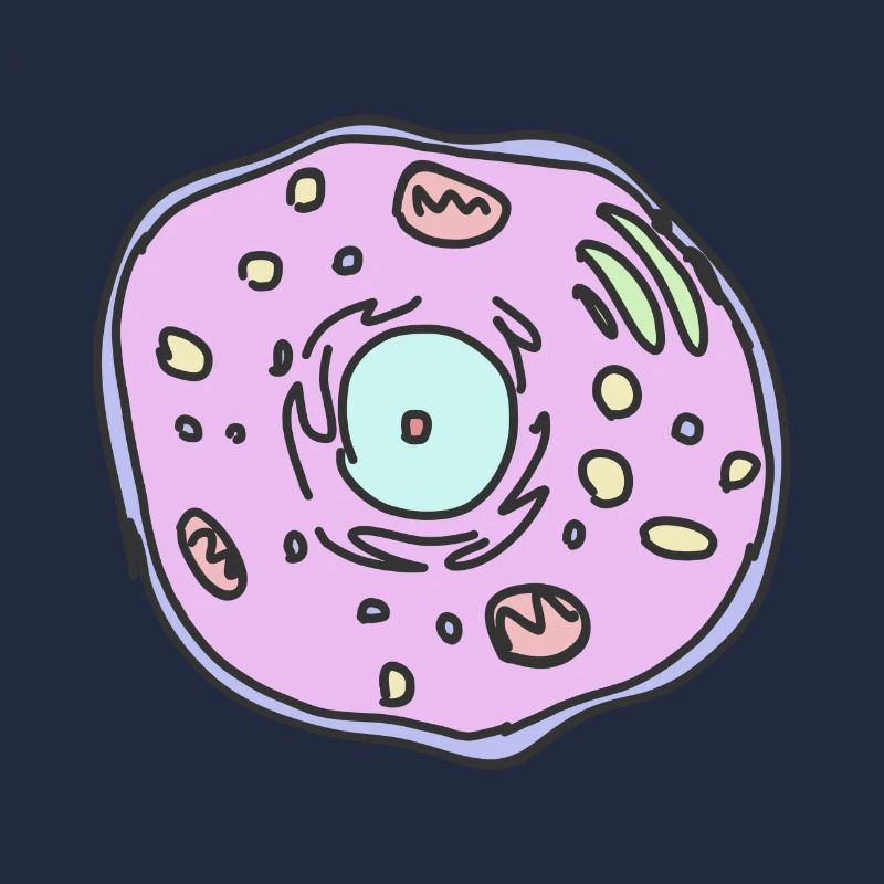 cellule animale