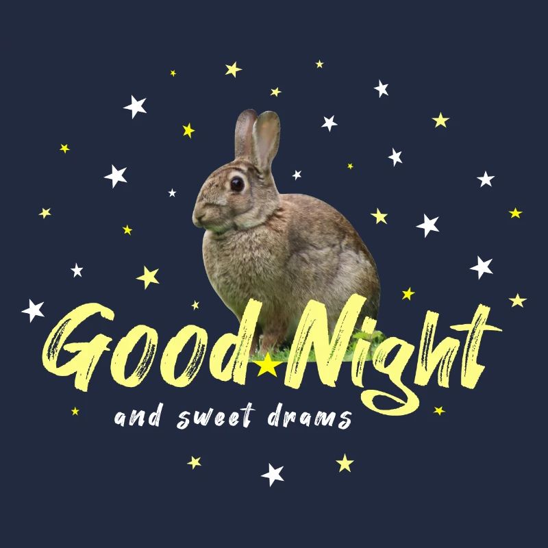 Good Night Hare Rabbit