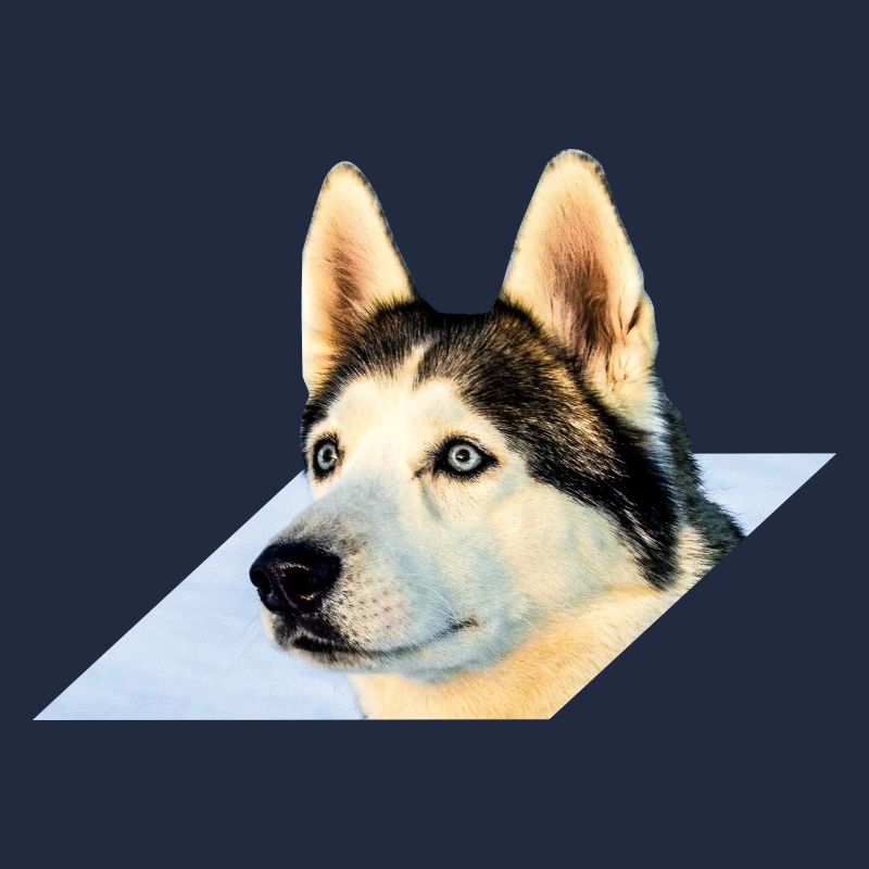 Husky