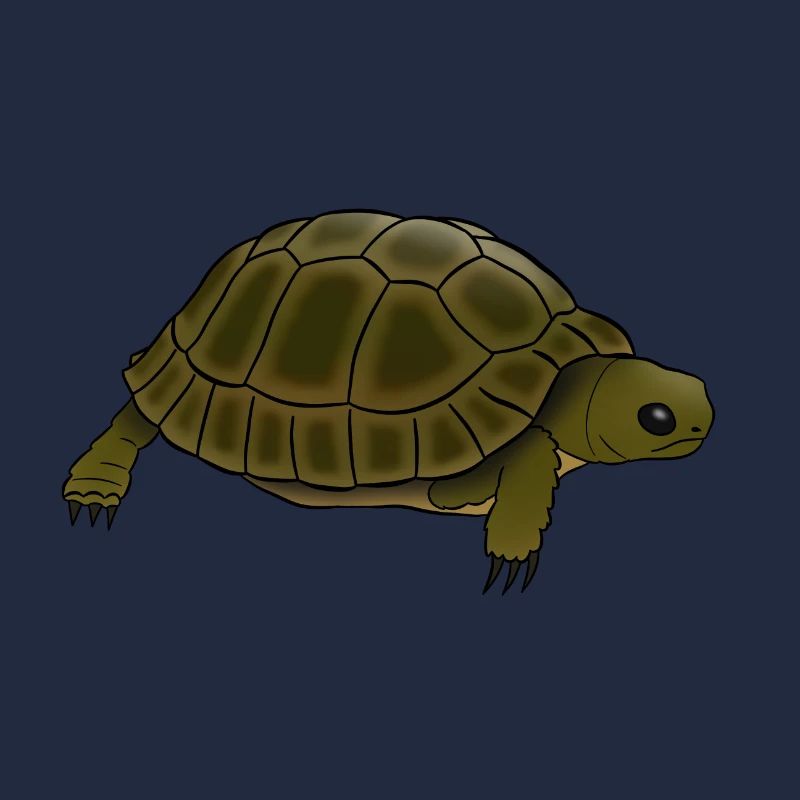 Tortue