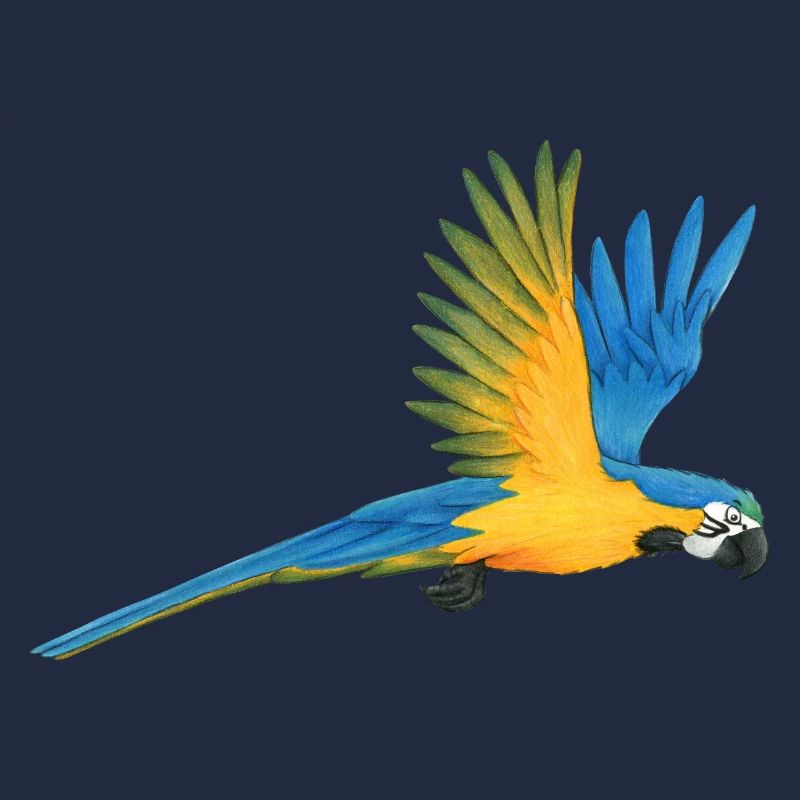 Macaw Parrot