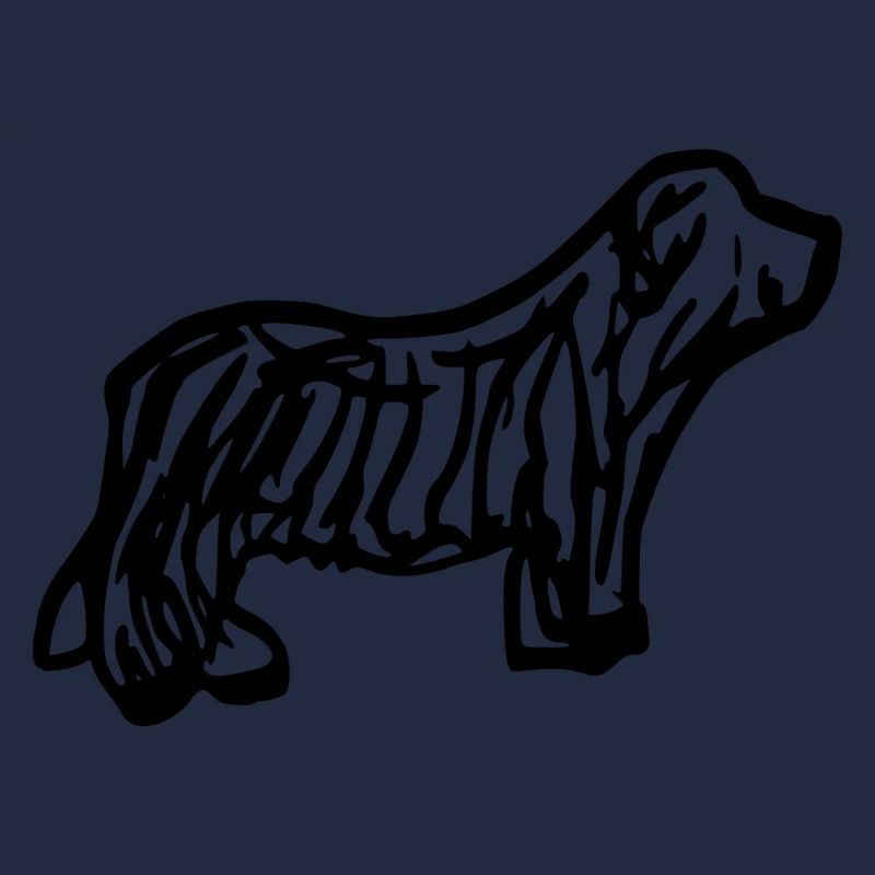 Bearded Collie